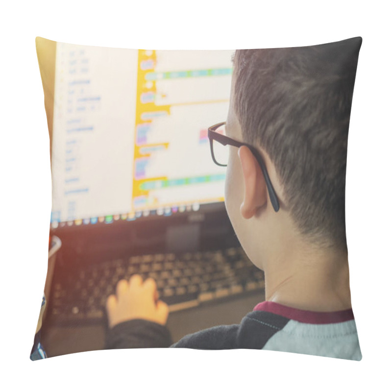 Personality  Smart Young Boy Works On A PC For His New Project In His Computer Science Class Pillow Covers