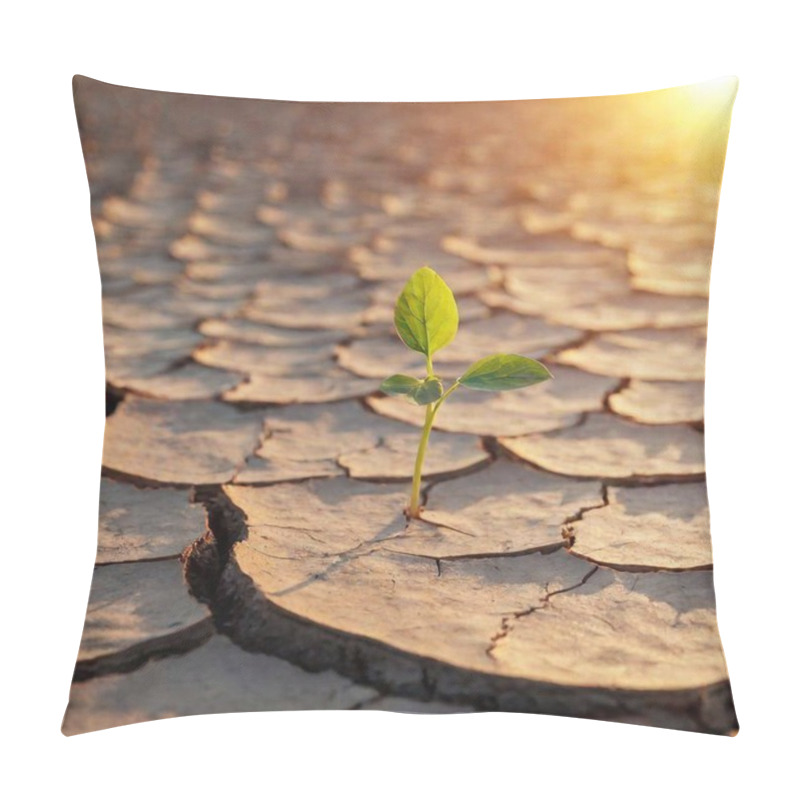 Personality  A High-resolution Ultrarealistic Image Of A Small Green Sprout With Two Vibrant Leaves Emerging From A Cracked, Parched Piece Of Land. The Setting Sun Casts A Warm Golden Light Across The Scene, Creating Elongated Shadows And Highlighting The Pillow Covers