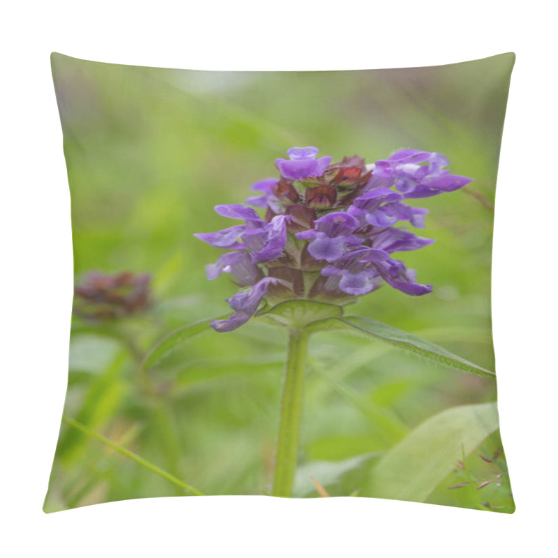 Personality  Selfheal Wildflower Coming Into Bloom Pillow Covers