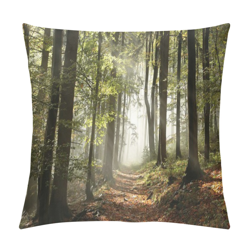 Personality  Autumnal Forest Pillow Covers