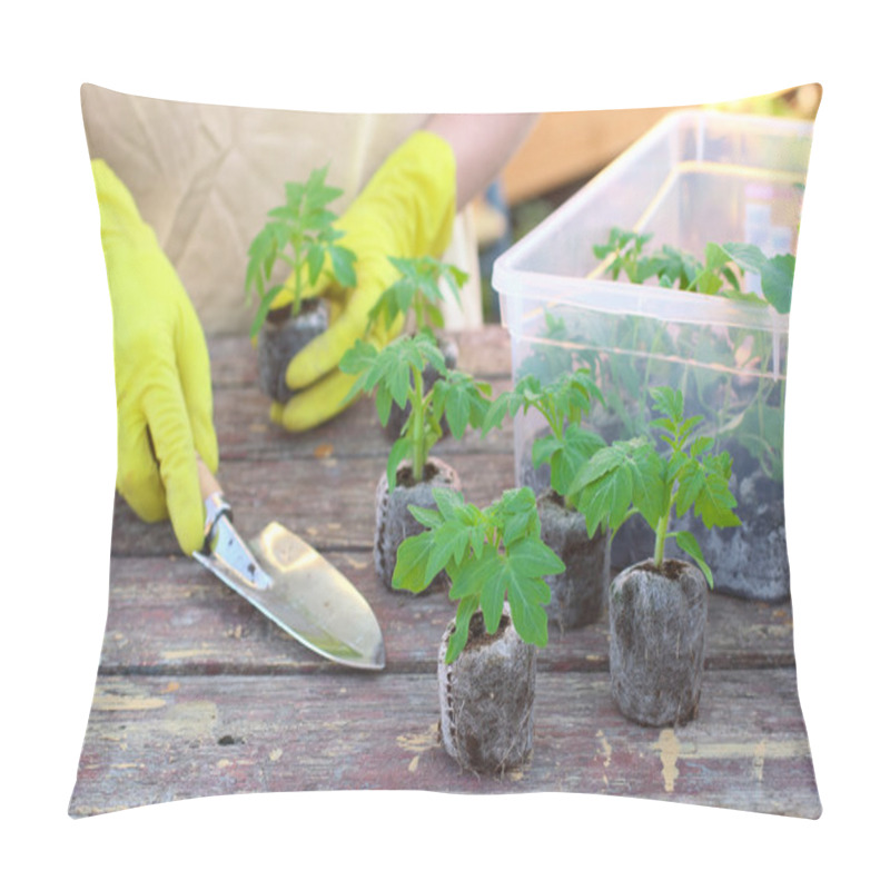 Personality  Woman Planting The Tomato Seedlings At Peat Tablets Pillow Covers