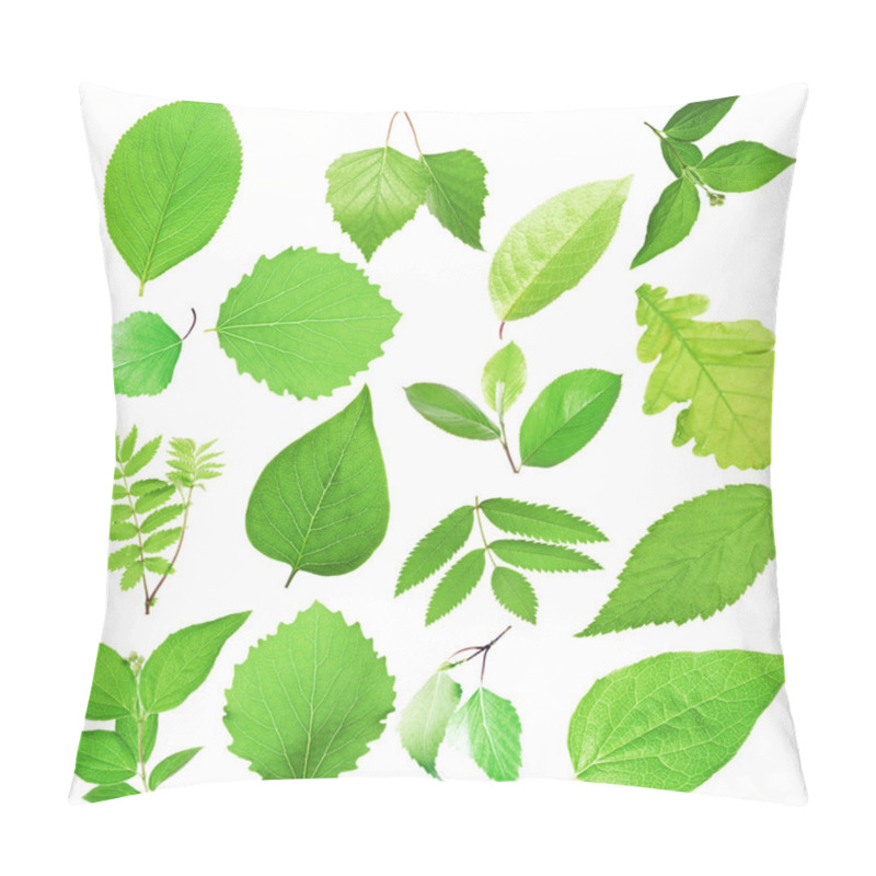 Personality  Different Tree Leaves Pillow Covers