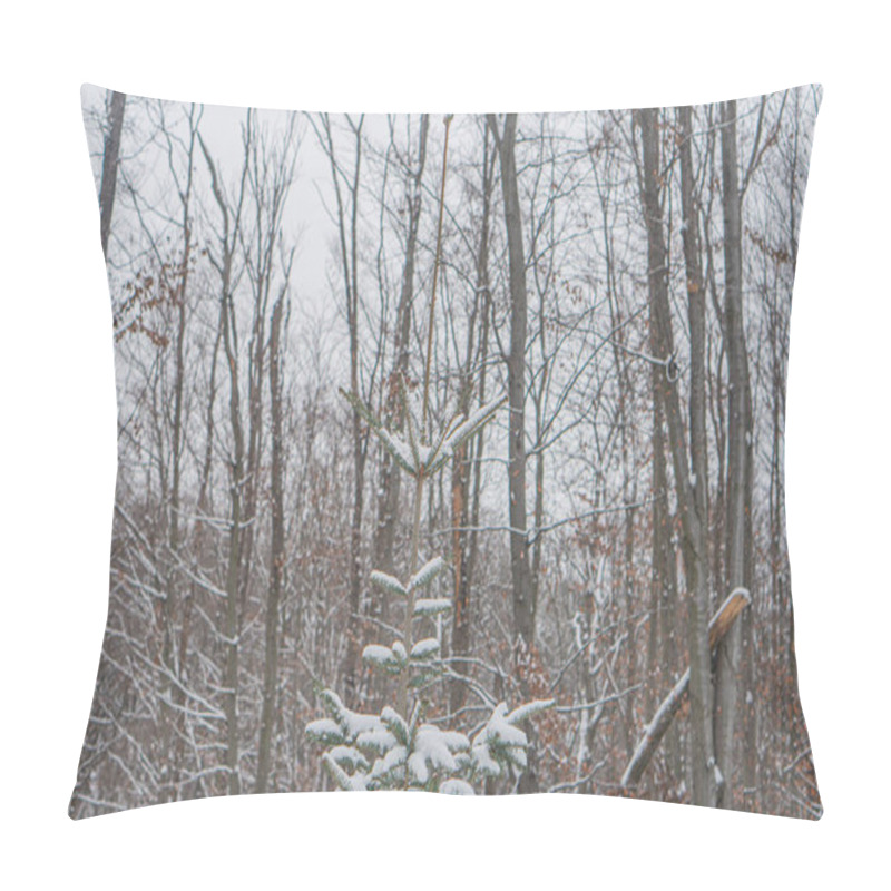 Personality  Winter Forest Scene With A Layer Of Snow On Bare Trees And A Coniferous Tree In The Foreground Overcast Sky Contributes To Wintry Atmosphere, No Human Intervention Detected Pillow Covers