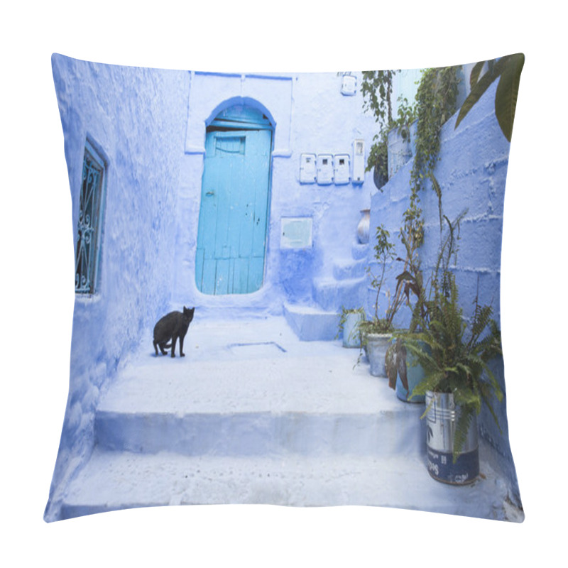 Personality  Cats On Street In Medina Of Blue Town Chefchaouen, Morocco Pillow Covers