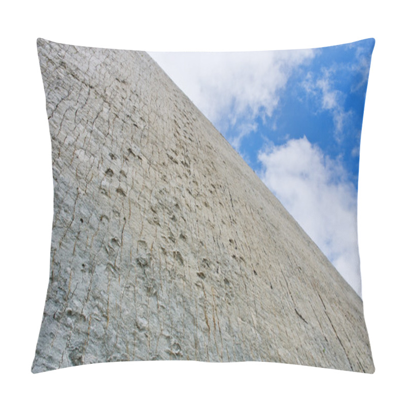 Personality  Dinosaur Tracks On Wall Pillow Covers