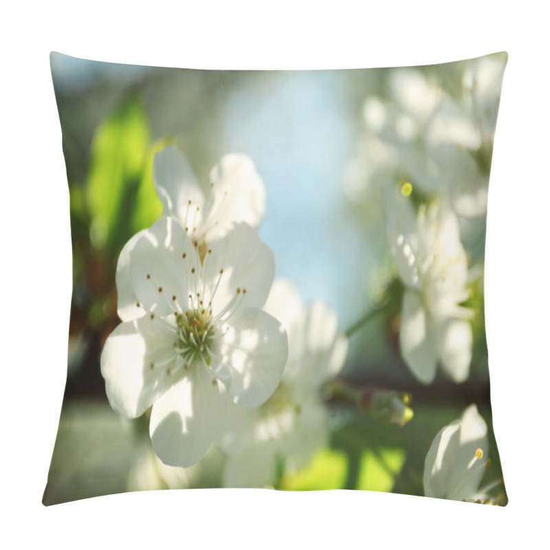 Personality  Blossoming Cherry Tree, Closeup Pillow Covers