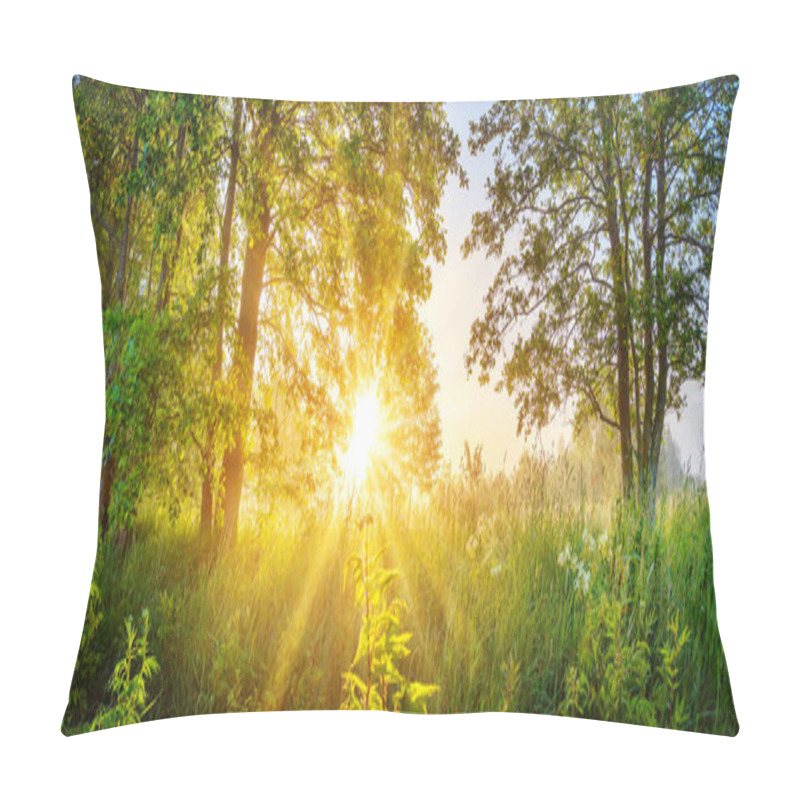 Personality  Foggy Background In Natural Park In The Morning. Tranquil Scene In Woodland. Pillow Covers