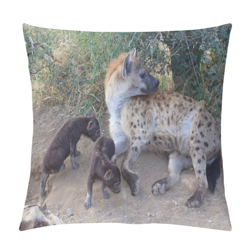 Personality  Spotted Hyaena / Crocuta Crocuta Pillow Covers