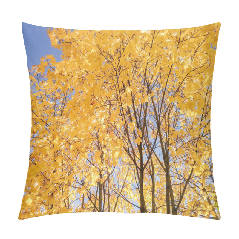 Personality  Flowers And Trees In Autumn Nature. Pillow Covers