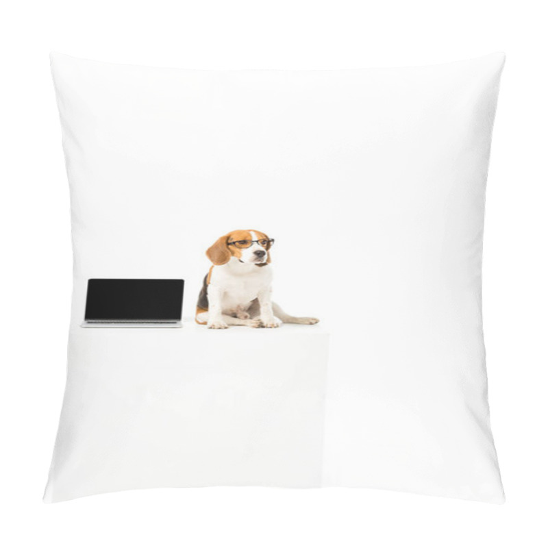 Personality  Cute Beagle Dog In Eyeglasses With Laptop With Blank Screen Sitting On White Cube Isolated On White Pillow Covers