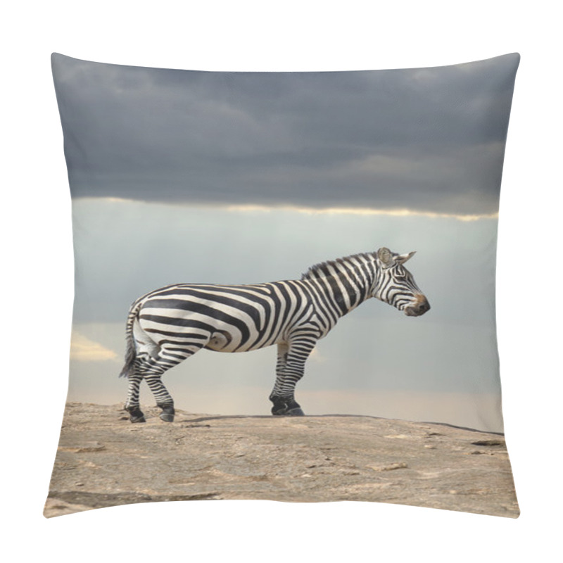 Personality  Zebra On Stone In Africa Pillow Covers