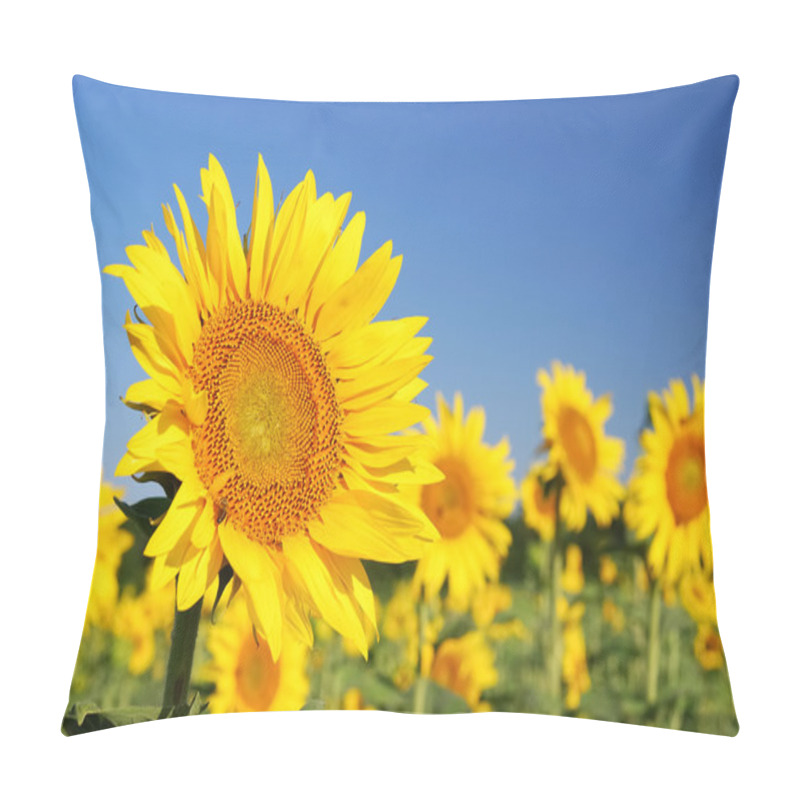 Personality  Sunflowers In The Field Pillow Covers