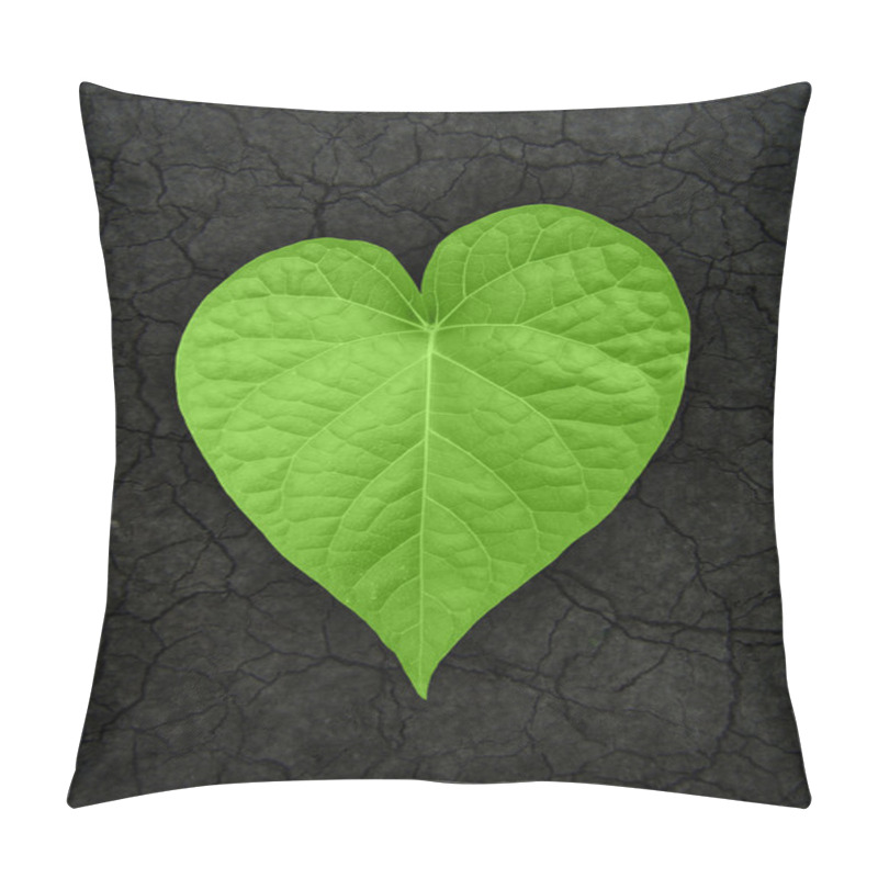 Personality  Heart Shaped Leaf On Cracked Soil Pillow Covers