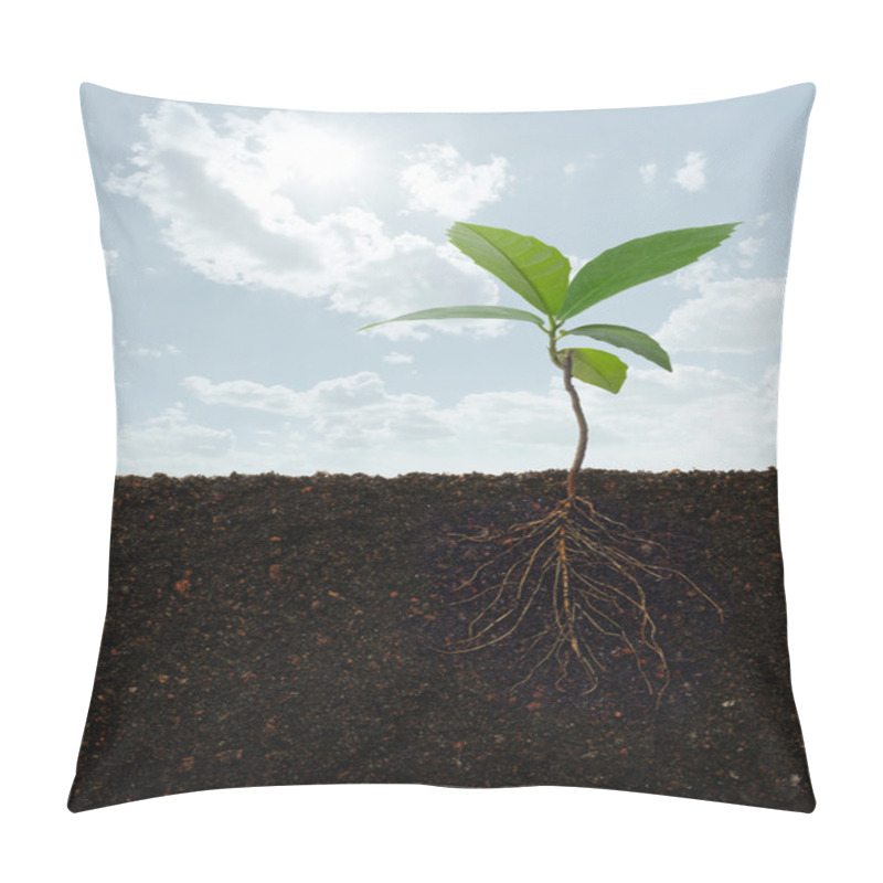 Personality  Plant With Roots Pillow Covers