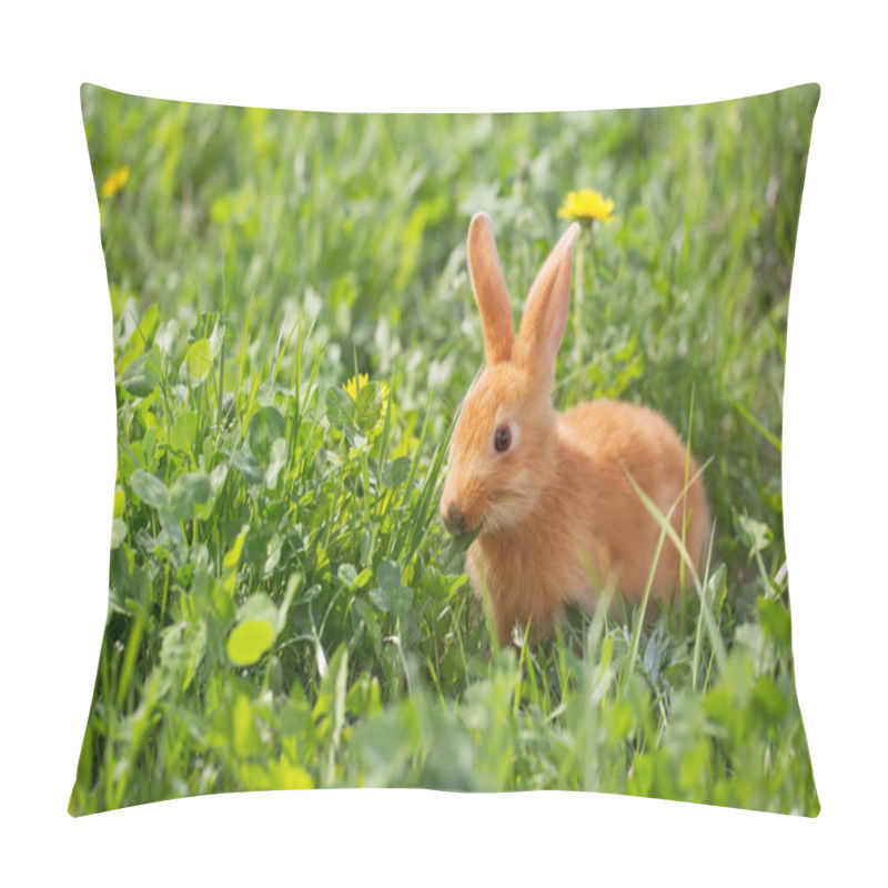 Personality  Red Little Rabbit Outdoor Pillow Covers