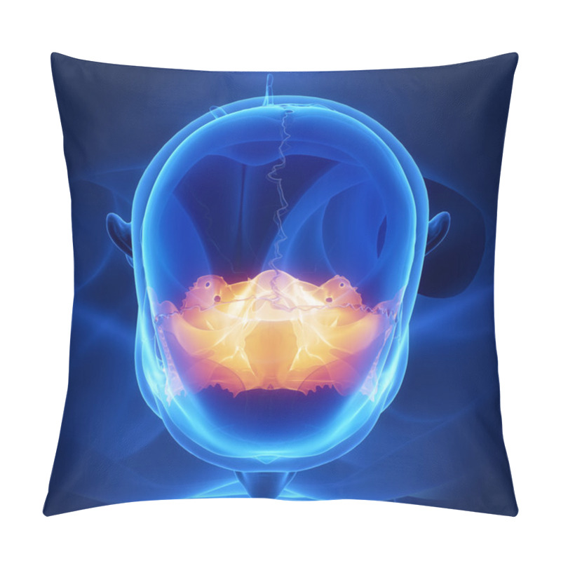 Personality  Sphenoid Skull Bone Anatomy Pillow Covers