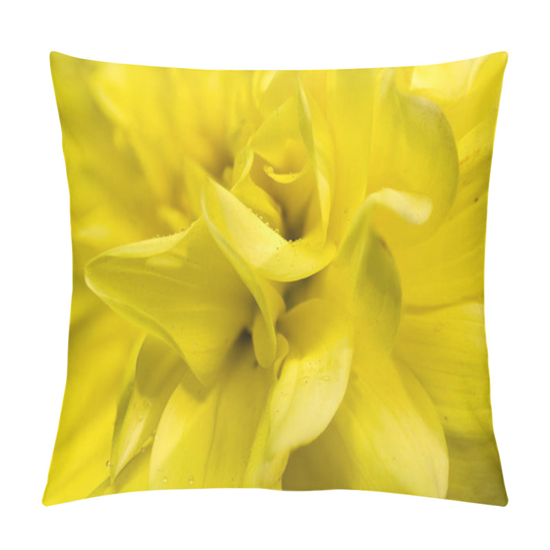 Personality  A Close-up View Of A Bright Yellow Dahlia, Showcasing Its Intricate Petals And Delicate Texture With Tiny Dew Droplets, Capturing The Vibrant Essence Of Nature's Beauty Pillow Covers