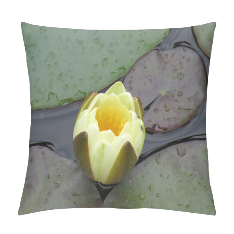 Personality  Yellow Water Lily - Nymphaea Pillow Covers