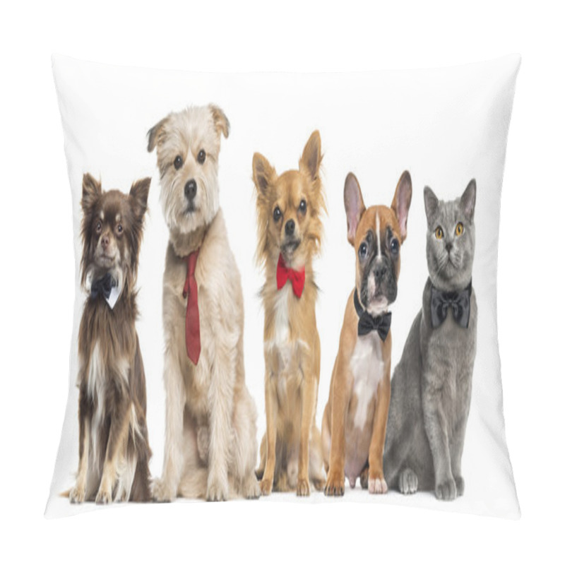 Personality  Group Of Dogs And Cats In Front Of A White Background Pillow Covers