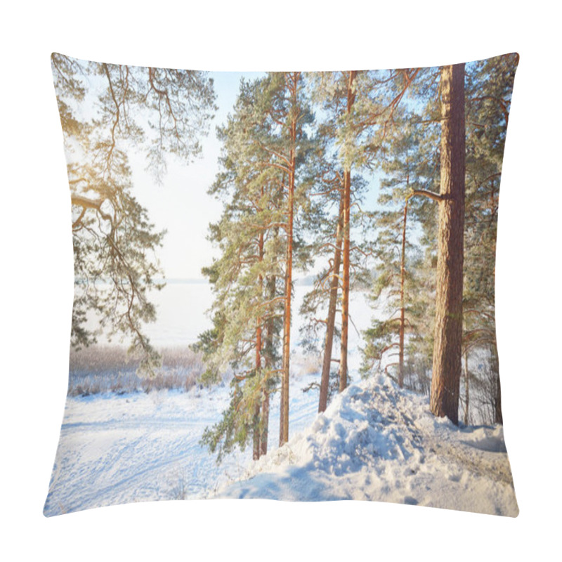 Personality  Winter Forest Scene. Snow-covered Pine Trees, Hills And Walkways. Frozen River In The Background. Sun Rays And Pure Evening Light. Latvia Pillow Covers