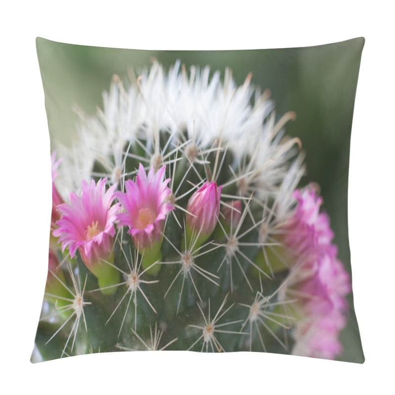 Personality  Cactus Flowers Pillow Covers