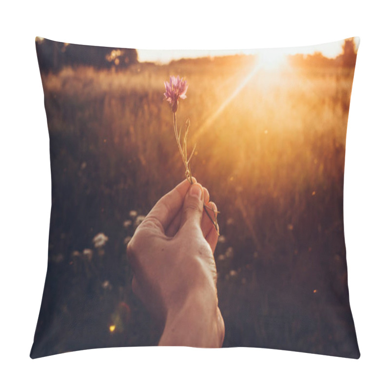 Personality  Hand With Wild Herb In Sunset Rays Pillow Covers