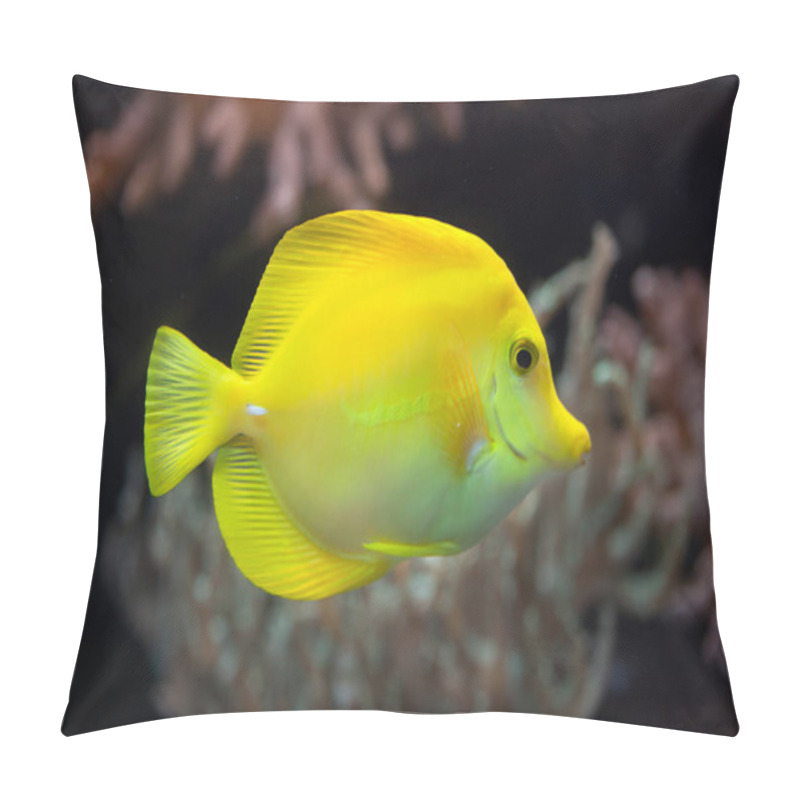 Personality  Yellow Tang (Zebrasoma Flavescens) Pillow Covers