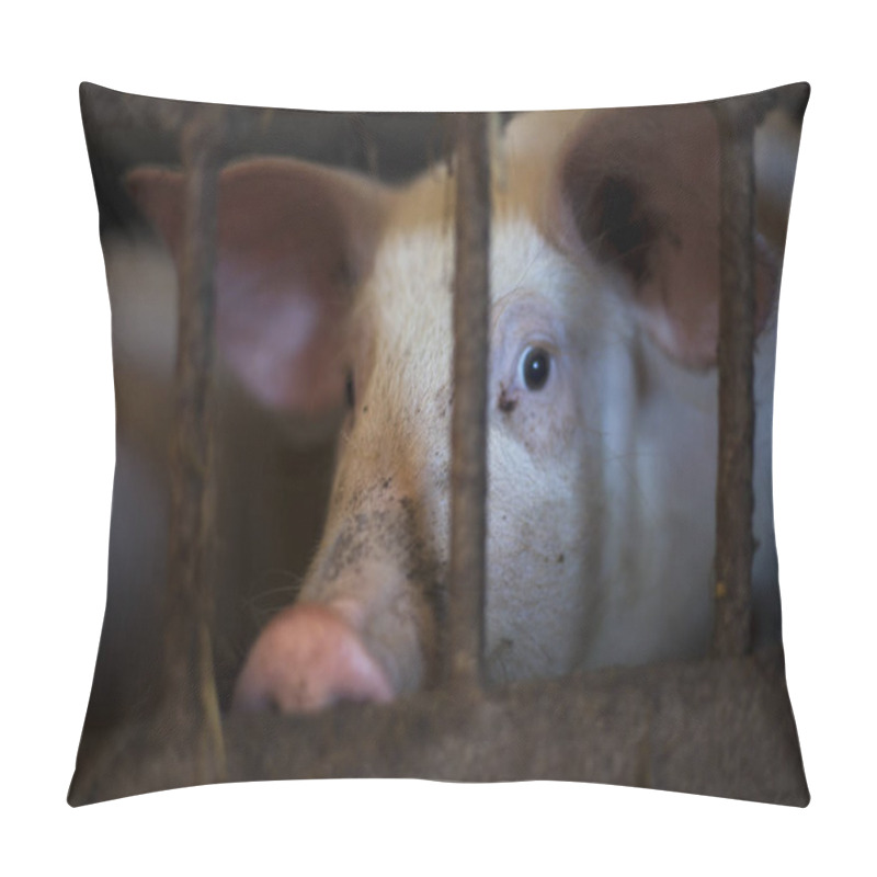 Personality  Pitiable Pig In Small Cage Waiting To Be Killed, In Dark Tone Pillow Covers