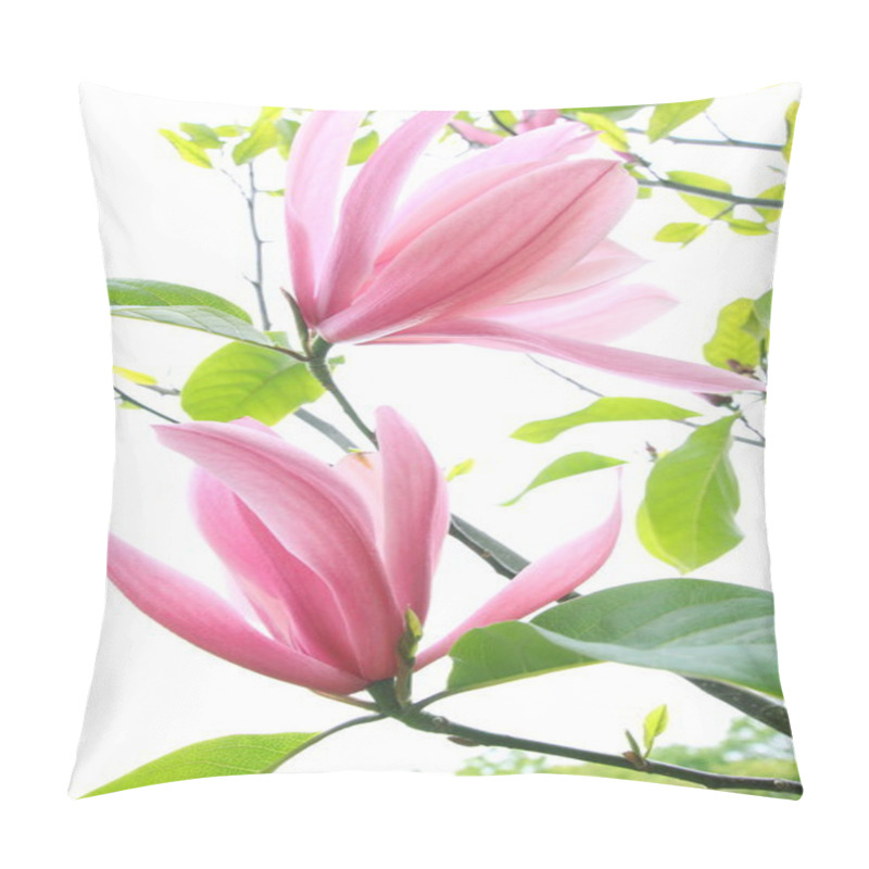 Personality  Beautiful Magnolia Blossom In Spring Time  Pillow Covers