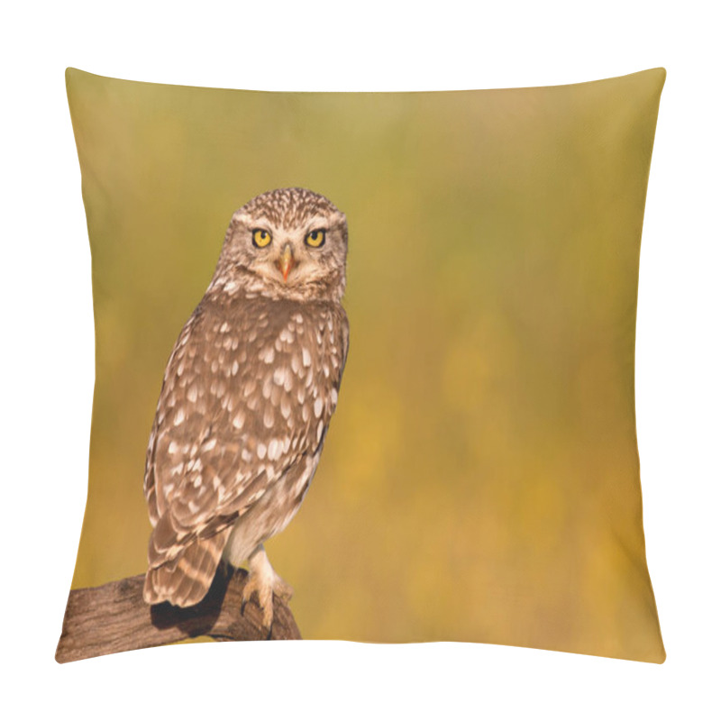 Personality  Cute Owl In Natural Habitat Pillow Covers