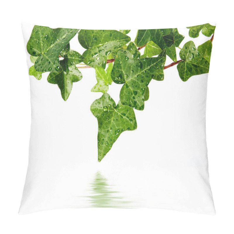 Personality  Herb Hedera In Dewdrops Pillow Covers