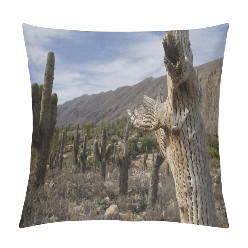 Personality  Cardon Grande Cactuses Pillow Covers