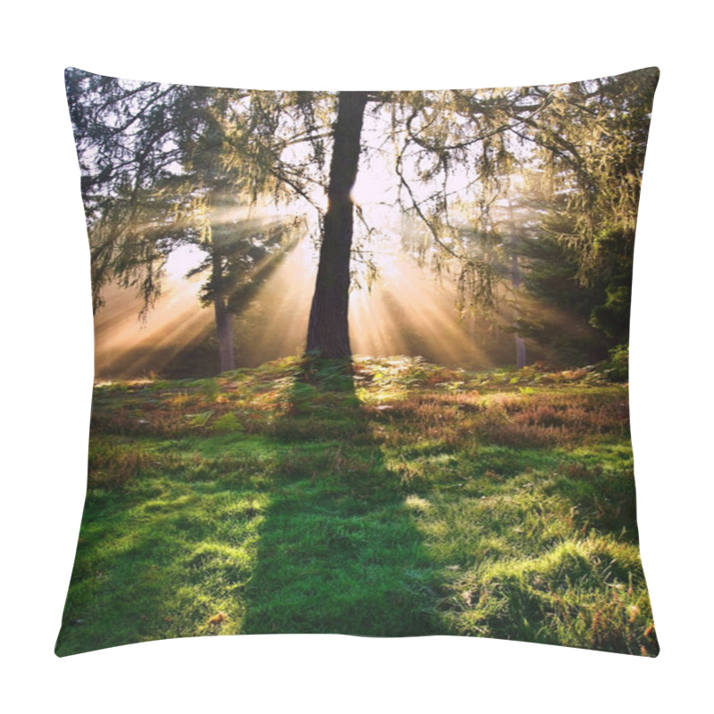 Personality  Inspirational Dawn Sun Burst Through Trees In Forest Autumn Fall Pillow Covers