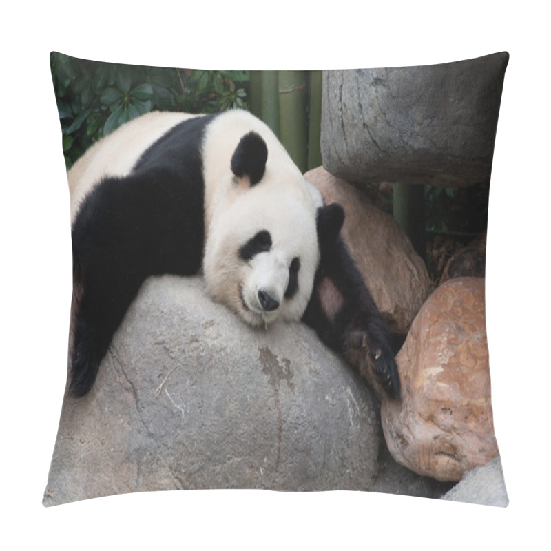 Personality  Giant Panda Pillow Covers