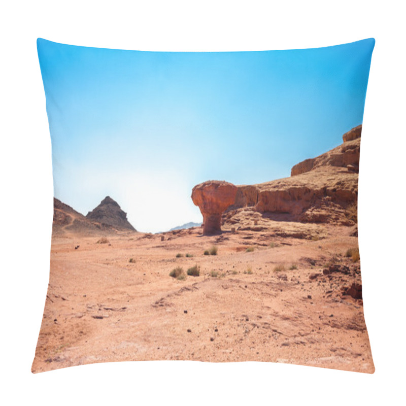 Personality  Sandstone Mushroom In Negev Desert Pillow Covers