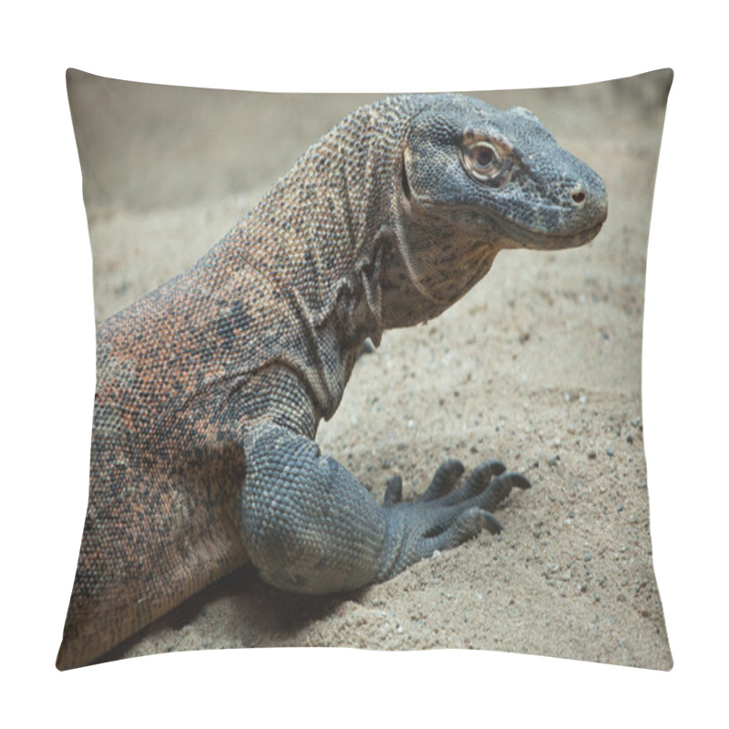 Personality  Komodo Dragon (Varanus Komodoensis) Pillow Covers