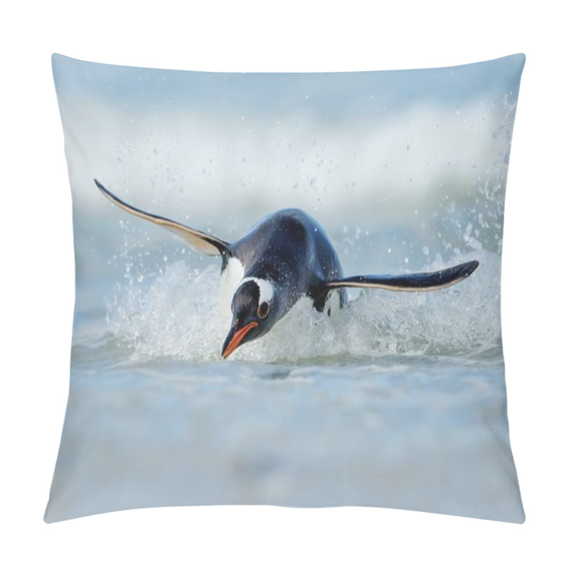 Personality  Gentoo Penguin Diving On The Shores Of The Falkland Islands In The Atlantic Ocean Pillow Covers