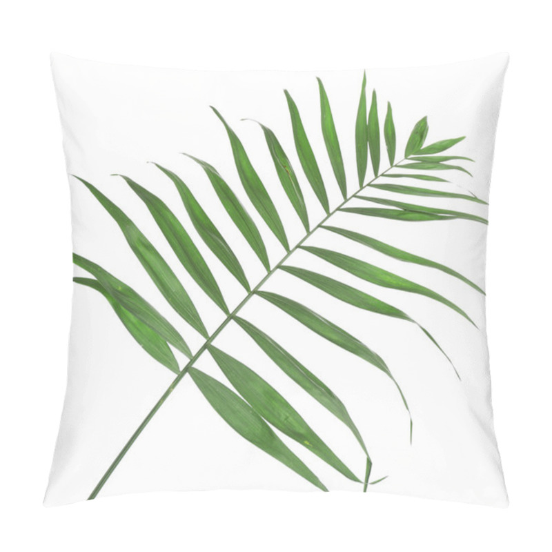 Personality  Beautiful Palm Leaf Isolated On White Pillow Covers