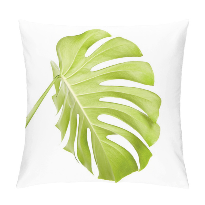 Personality  Monstera Deliciosa Leaf Or Swiss Cheese Plant, Tropical Foliage Isolated On White Background, With Clipping Path Pillow Covers