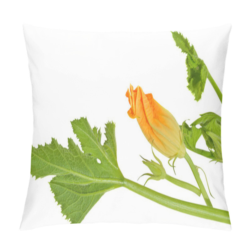 Personality  Yellow Courgette Blossoms Pillow Covers