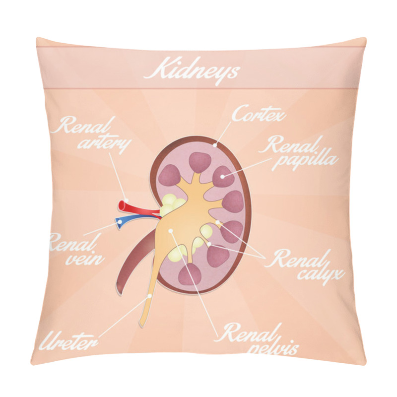 Personality  Kidneys Pillow Covers