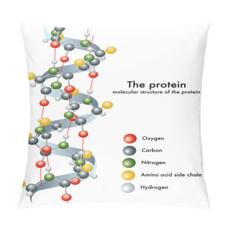 Personality  Molecular Structure Of The Protein Pillow Covers