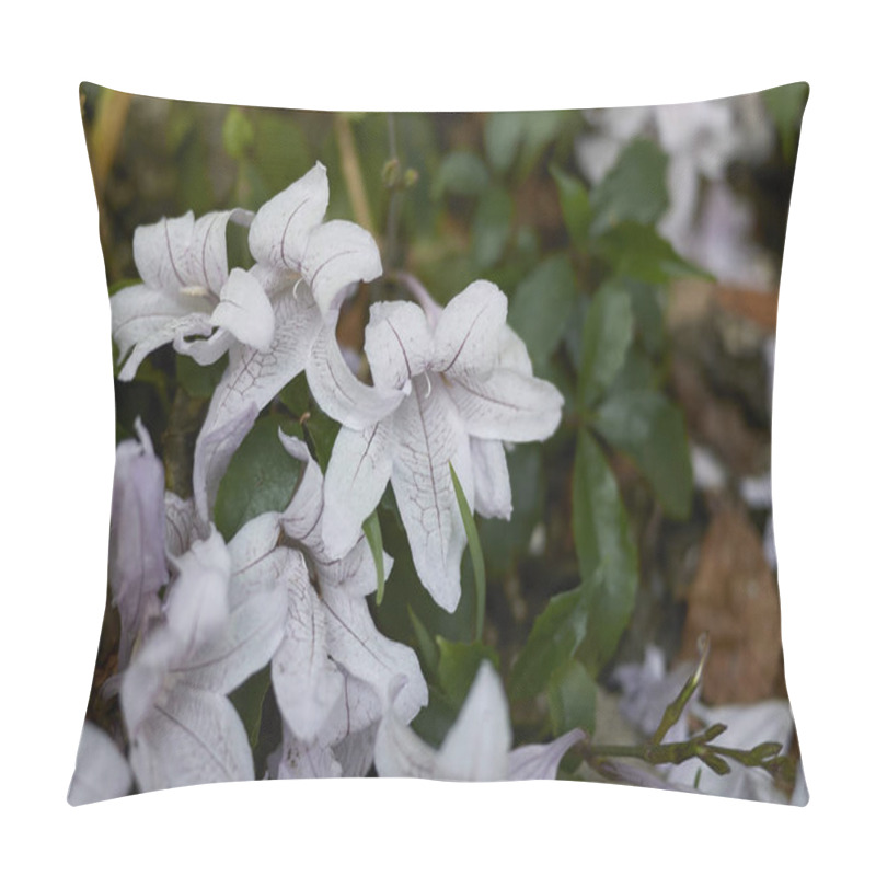 Personality  View Of Mackaya Bella Flowers Pillow Covers