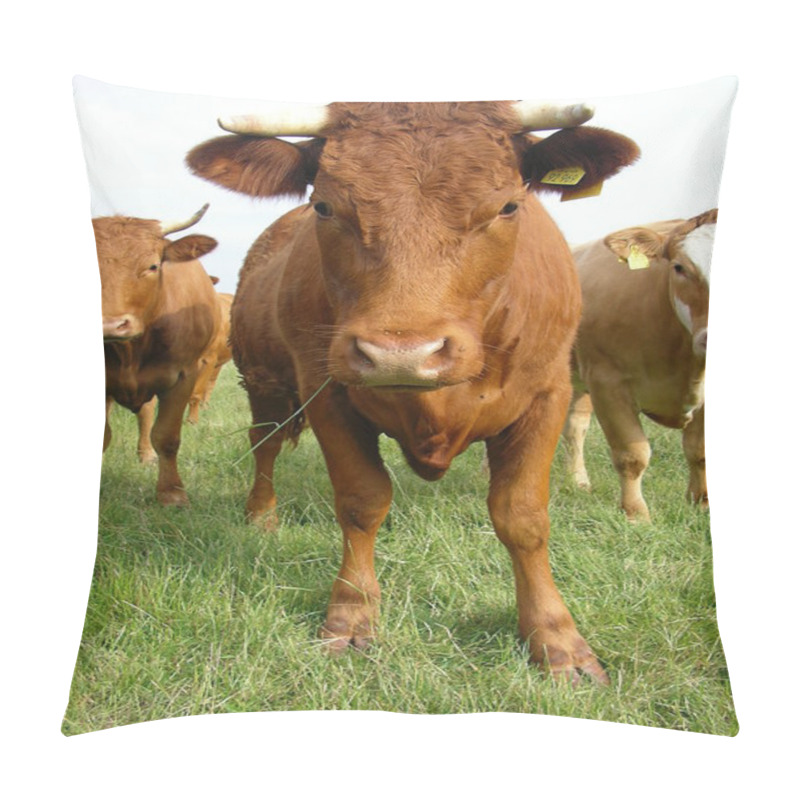 Personality  Cow Pillow Covers