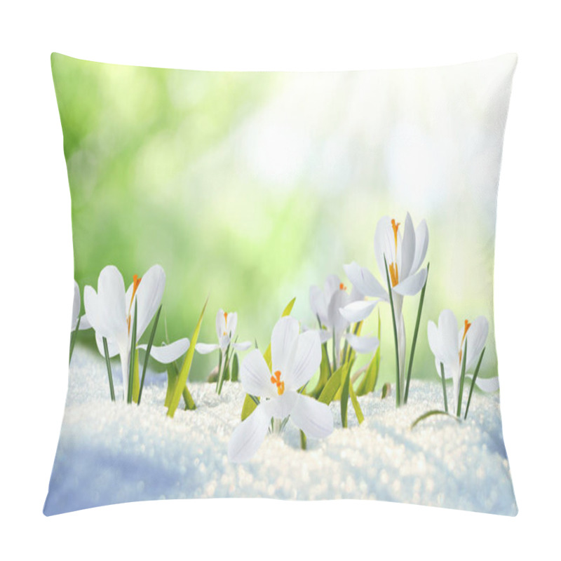 Personality  Beautiful Crocuses Growing Through Snow Outdoors On Sunny Day. First Spring Flowers Pillow Covers