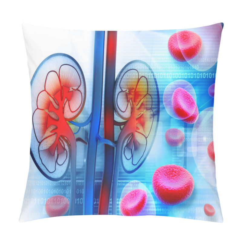 Personality  Human Kidney Cross Section Pillow Covers