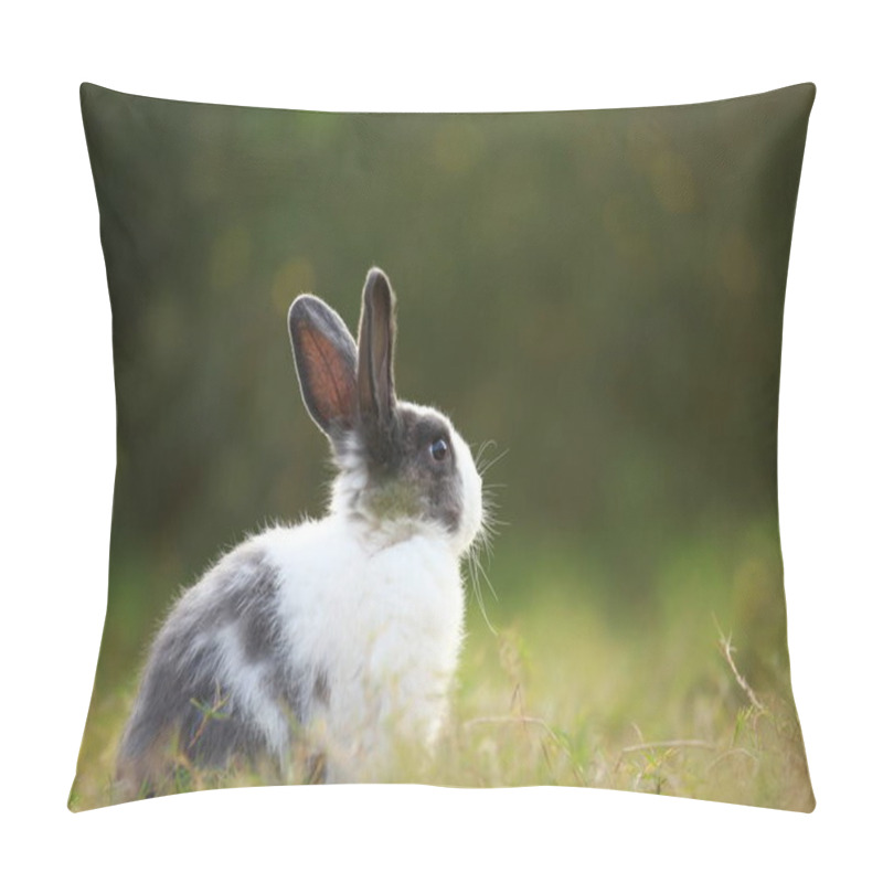 Personality  Adult Rabbit In Green Field In Spring. Lovely Bunny Has Fun In Fresh Garden. Adorable Rabbit Plays And Is Relax In Nature Green Grass. Pillow Covers