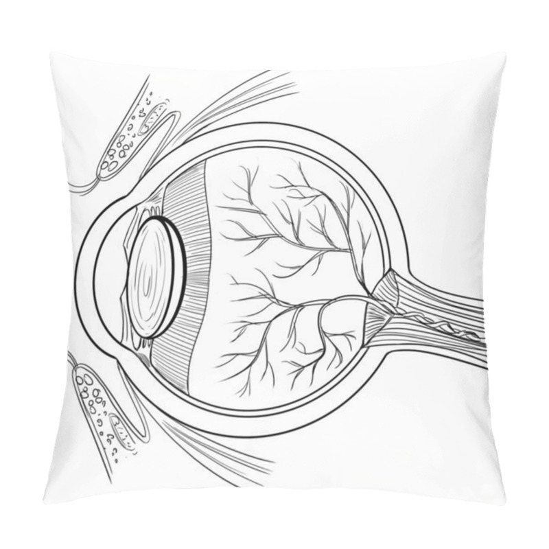 Personality  Anatomy Of The Human Eye Pillow Covers