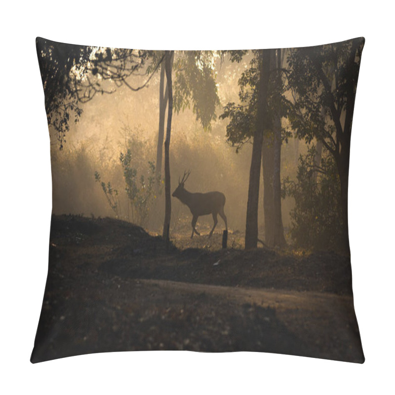 Personality  Sambar Deer Walking Between The Trees In A Misty Morning Pillow Covers