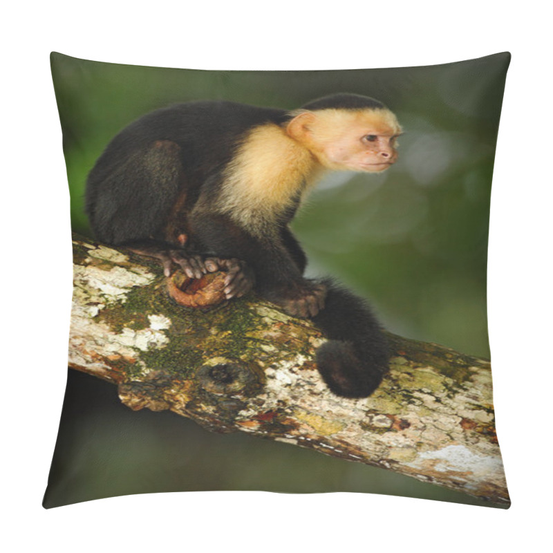 Personality  Capuchin Monkey Sitting On The Tree Branch Pillow Covers